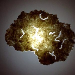 Carta e memoria: scopriamo insieme l'arte di Giulia Previtali