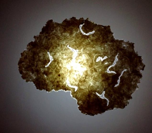 Carta e memoria: scopriamo insieme l'arte di Giulia Previtali