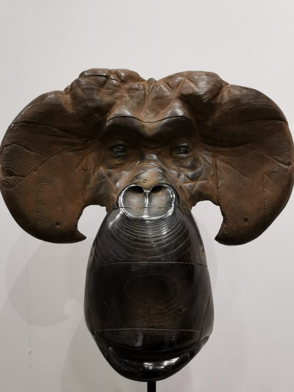 Arte Fiera 2020