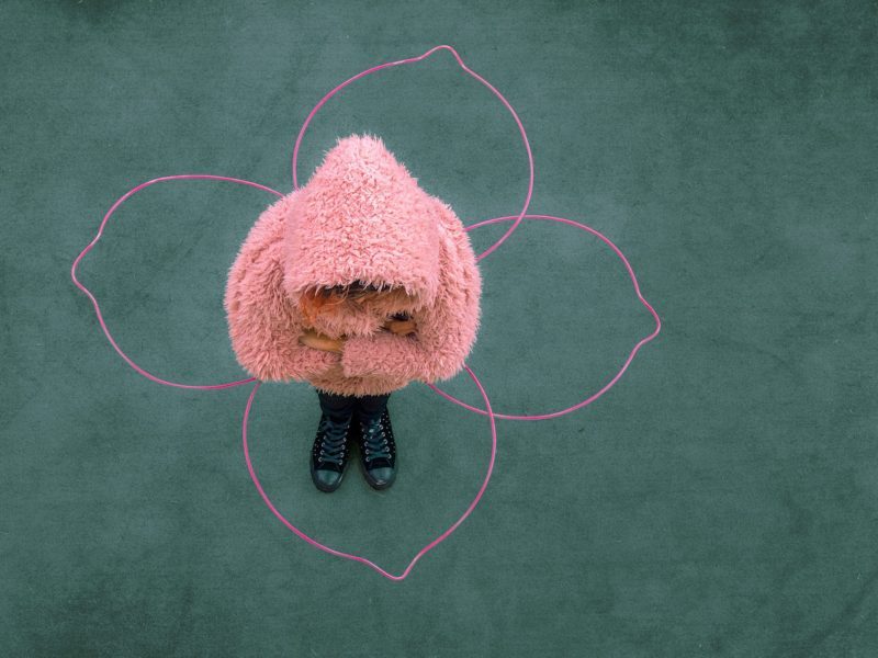 we are corolla we are corolla